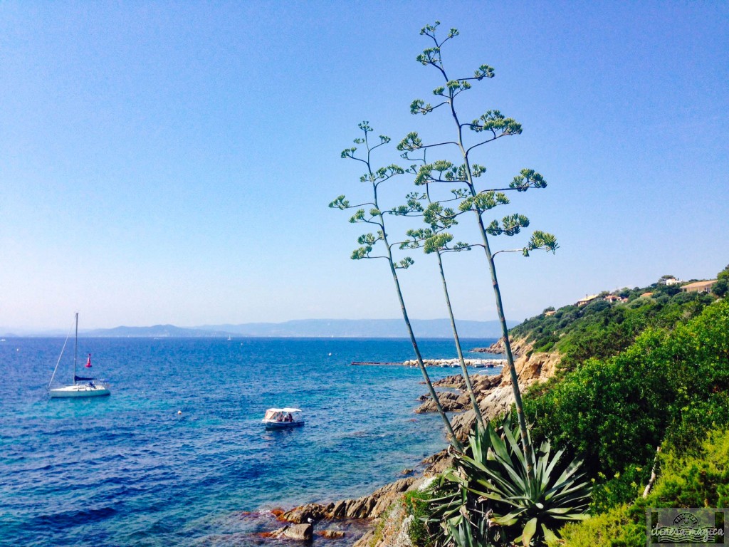 Le Levant, îles d'Or, Méditerranée