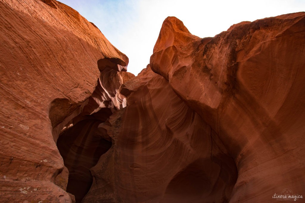 Antelope Canyon, c’est une brèche de lumière au creux de dunes de sables pétrifiées, des vagues de pierre patinées par les millénaires, et qui revêtent d’extraordinaires tons d’ocre, de rouge et de pourpre. Explorez l'Arizona sur Itinera Magica