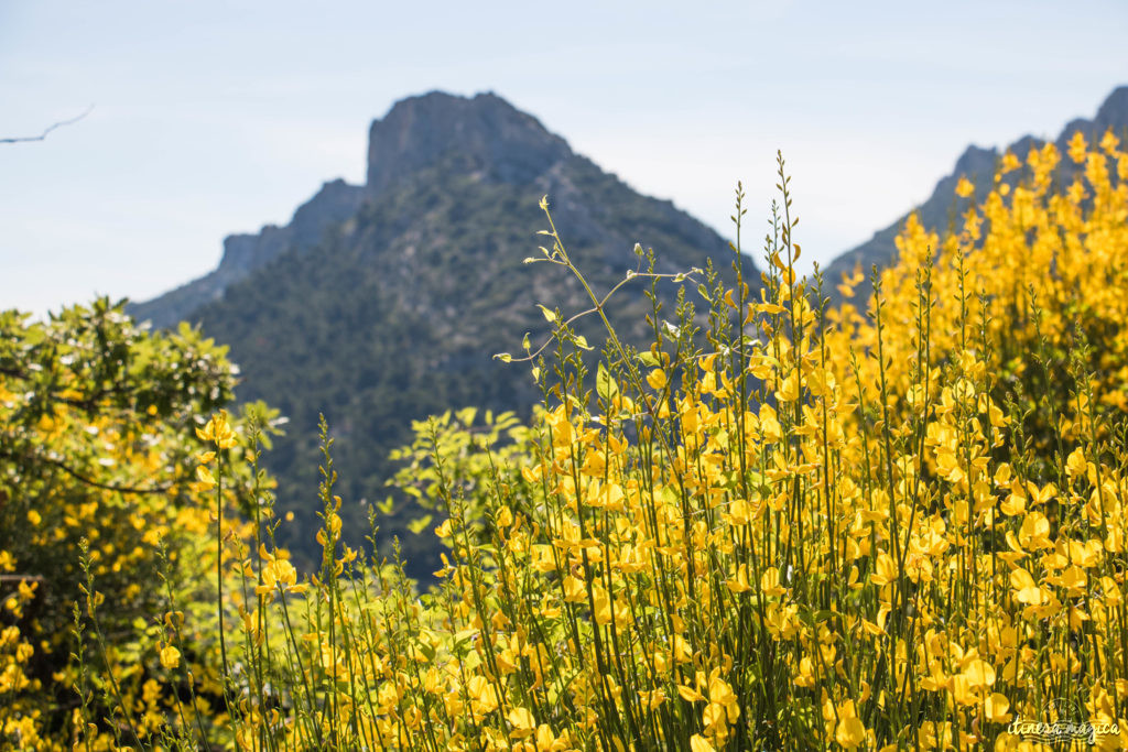 Découvrir le Vaucluse à vélo : au coeur de la Provence, entre Ventoux et Dentelles.