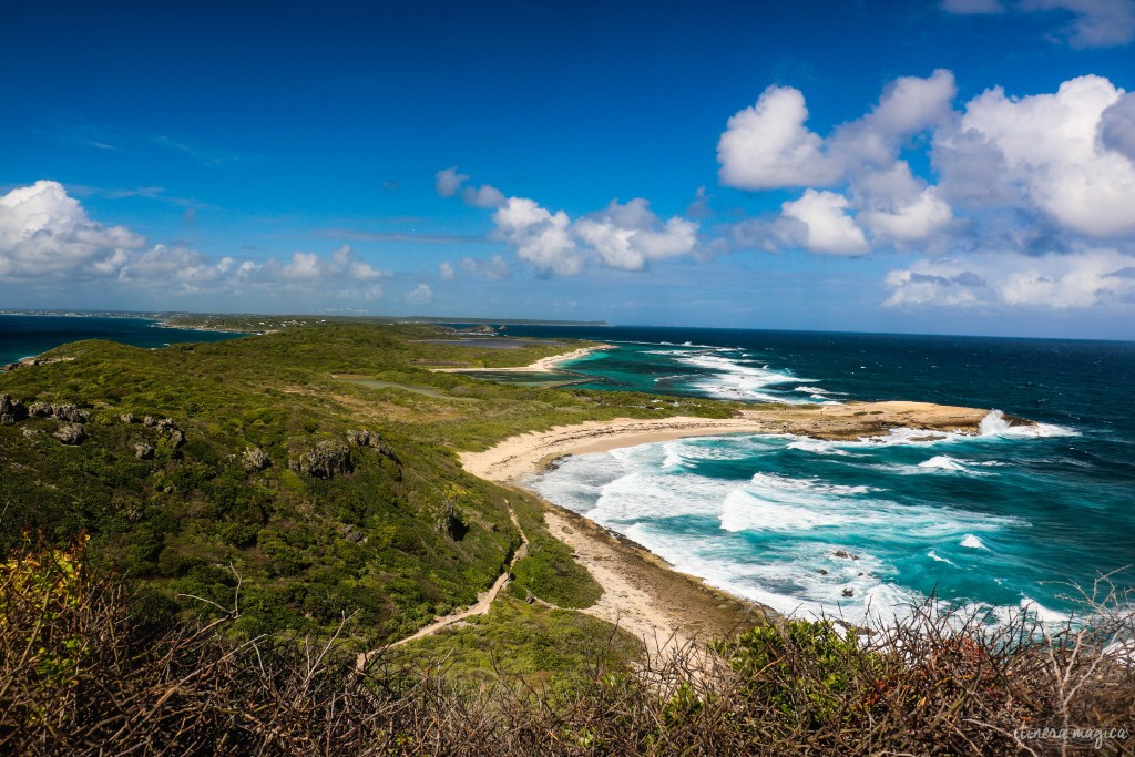 Toute la Guadeloupe semble ouvrir ses ailes sous nos yeux.