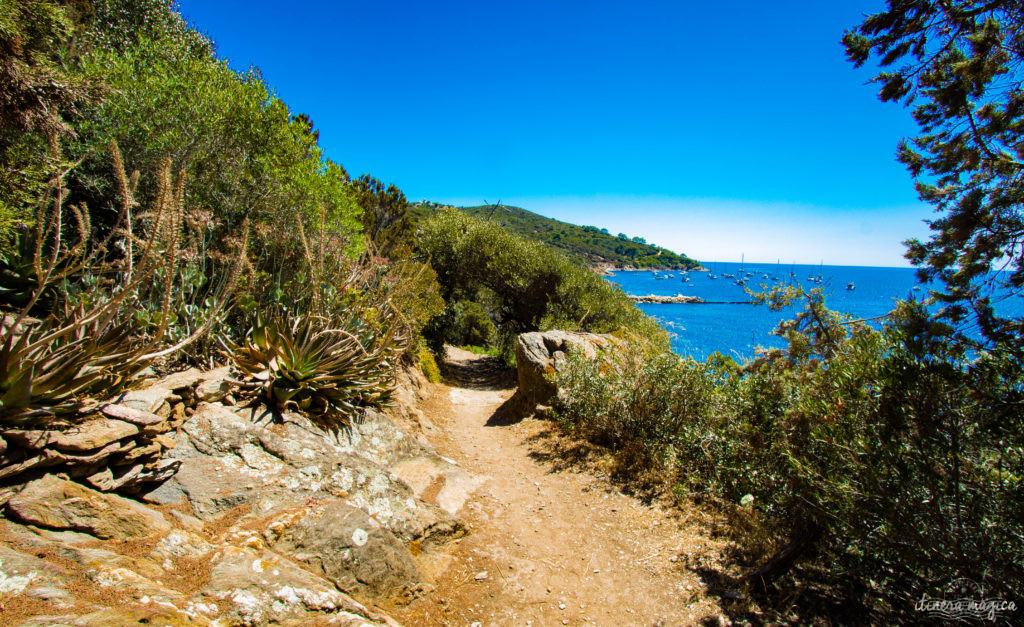 Découvrez l'ïle du Levant, un paradis méditerranéen préservé au large d'Hyères. Criques rocheuses à l'eau turquoise, village bohème d'artistes, végétation luxuriante, cette île naturiste est irrésistiblement exotique. Découvrez Le Levant sur le blog Itinera Magica !