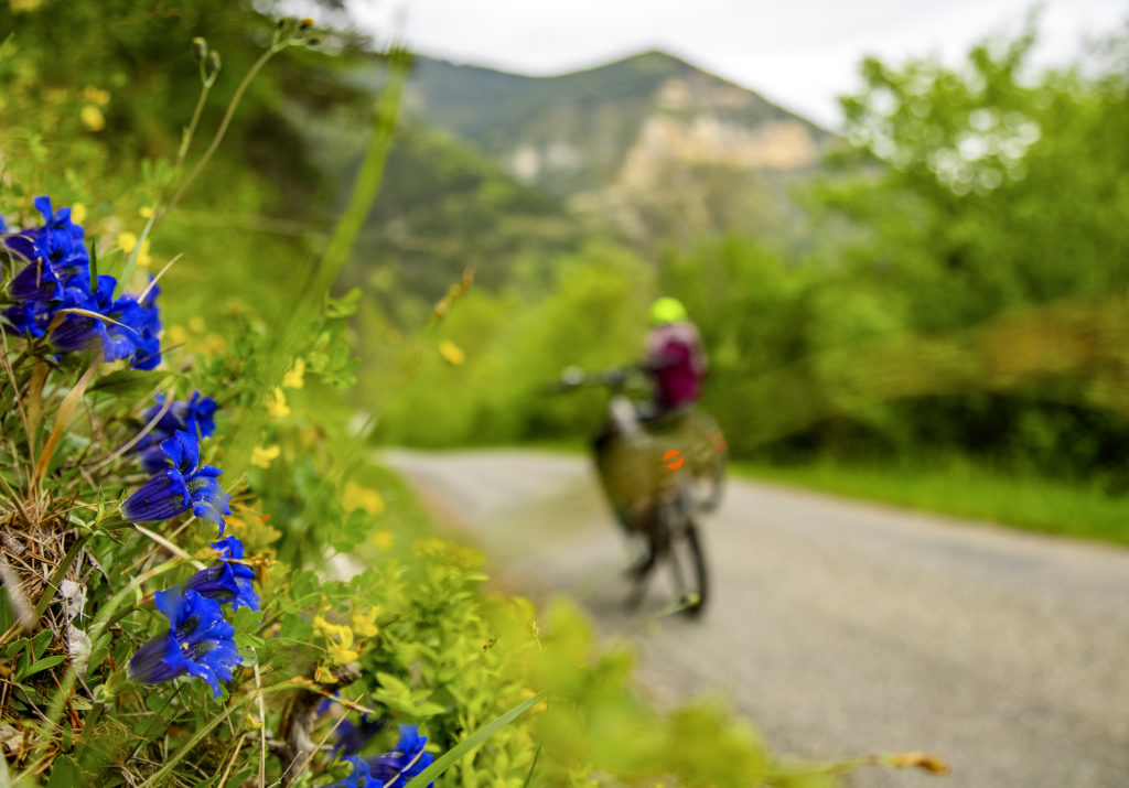 Explorer la Drôme à vélo : sublime voyage dans le Diois avec Allibert Trekking, entre montagnes du Vercors et rivière turquoise.