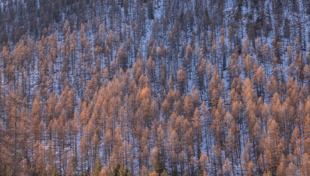 que faire en Ubaye en hiver ? activités outdoor, ski, raquettes, terroir, bonnes adresses