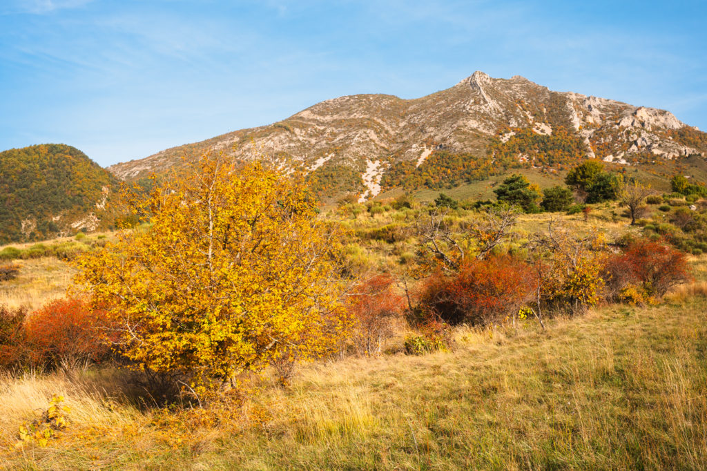 voyage d'automne en Baronnies provençales : les cueillettes de Marielle