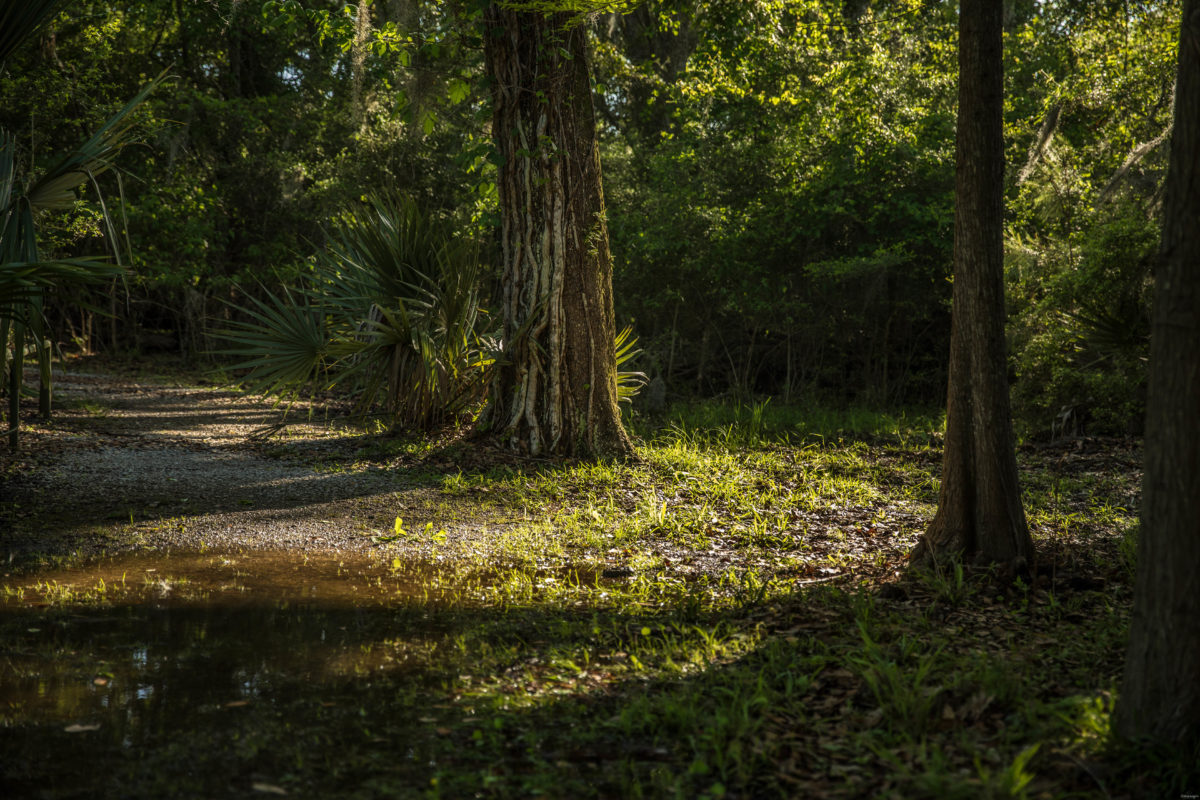Fontainebleau State Park