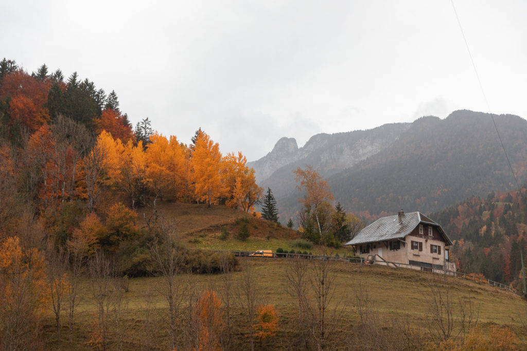 Voir l'automne en Chartreuse