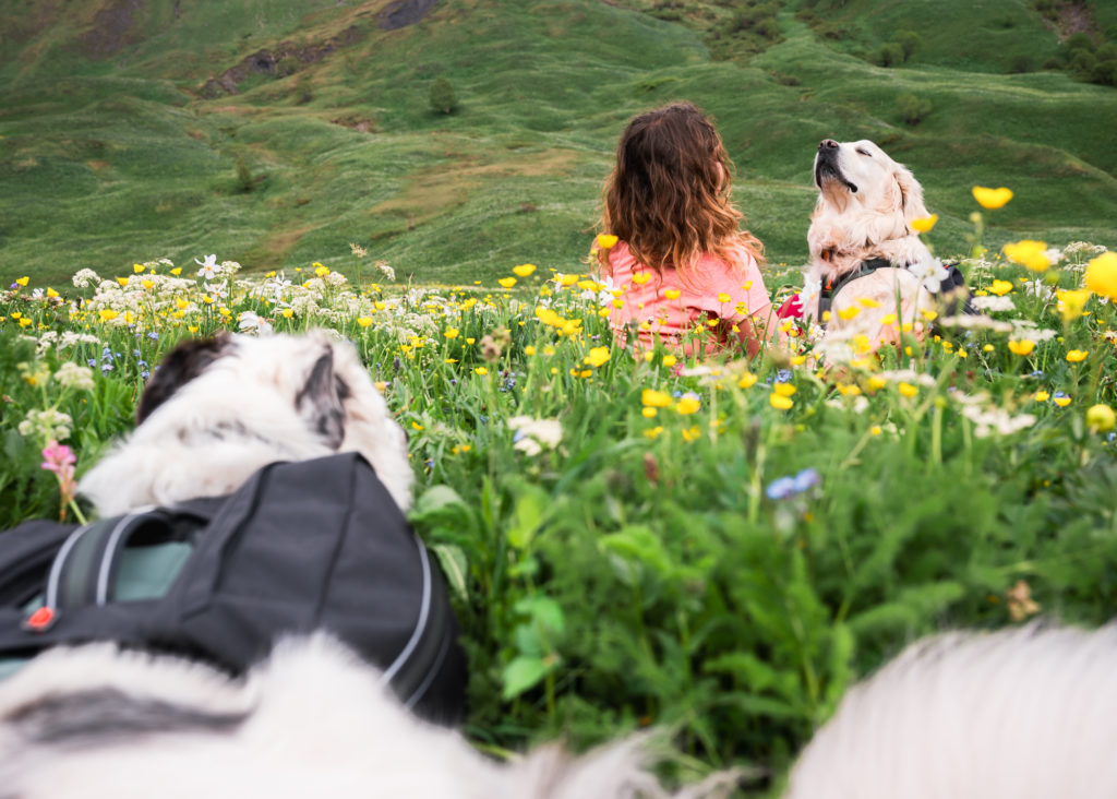 Randonner avec son chien : mes conseils, mon équipement coup de cœur Decathlon Outdog et mes plus belles idées de randos autour de Grenoble pour vivre des aventures complices en montagne.