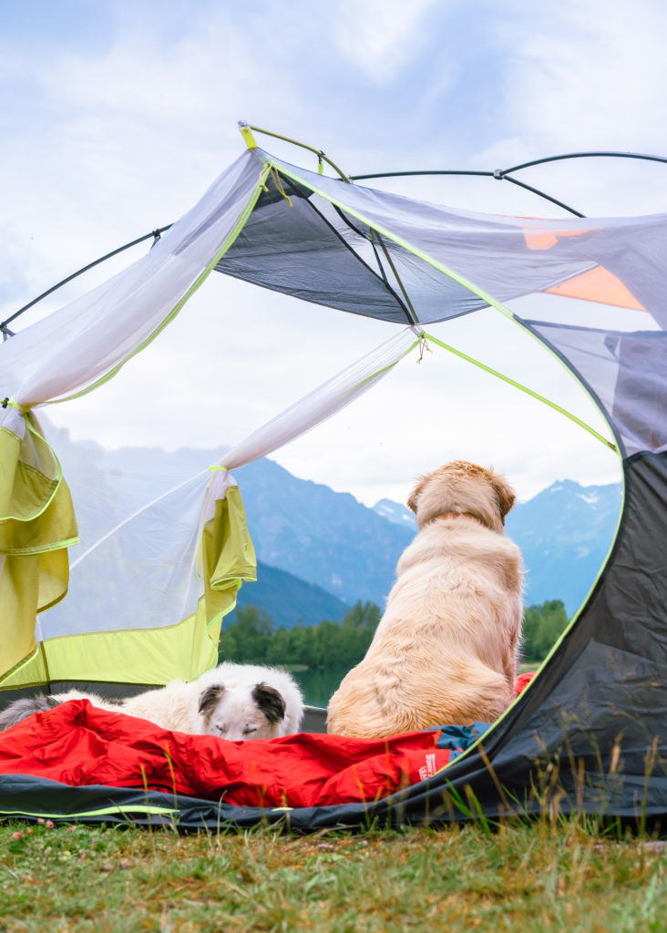 Randonner avec son chien : mes conseils, mon équipement coup de cœur Decathlon Outdog et mes plus belles idées de randos autour de Grenoble pour vivre des aventures complices en montagne.