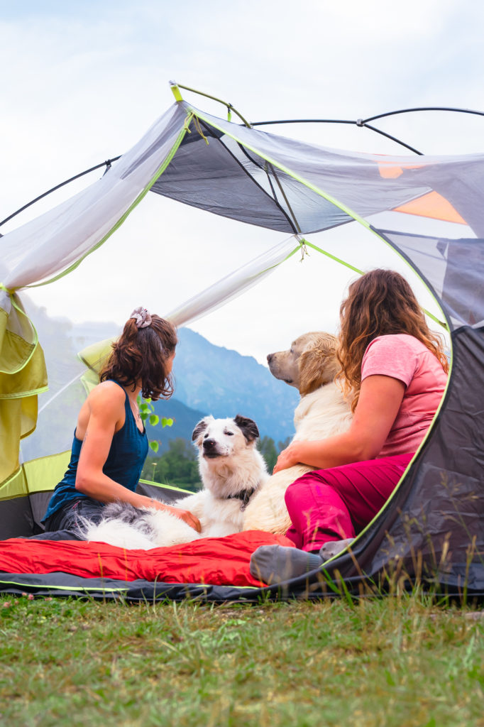 Randonner avec son chien : mes conseils, mon équipement coup de cœur Decathlon Outdog et mes plus belles idées de randos autour de Grenoble pour vivre des aventures complices en montagne.