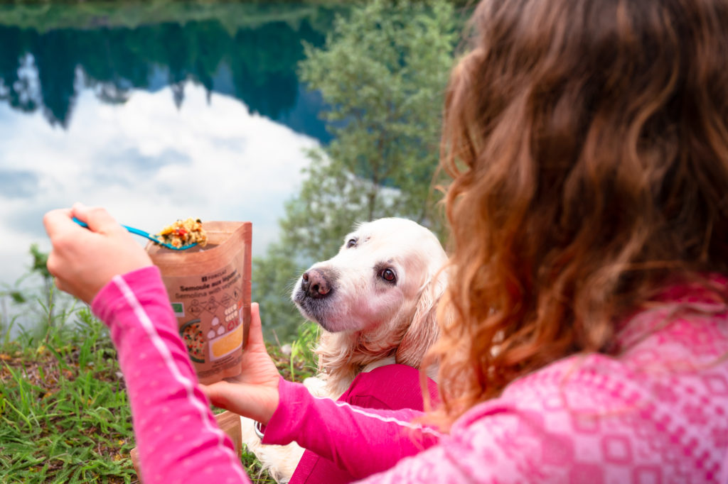 Randonner avec son chien : mes conseils, mon équipement coup de cœur Decathlon Outdog et mes plus belles idées de randos autour de Grenoble pour vivre des aventures complices en montagne.