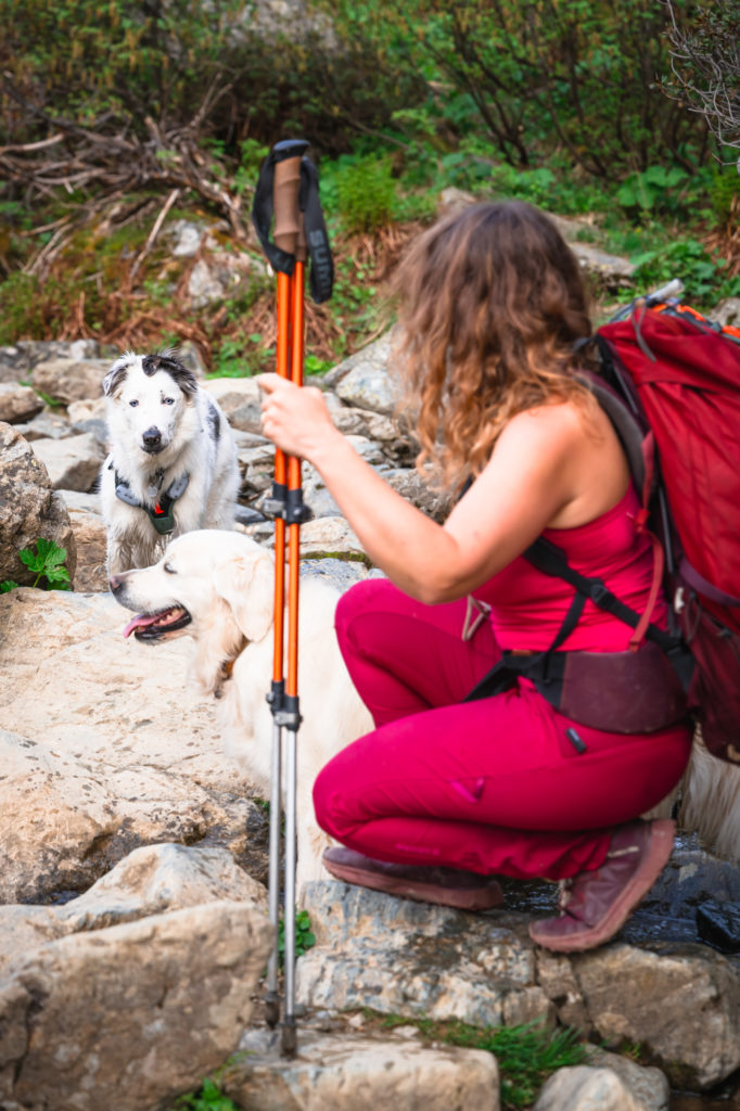 Randonner avec son chien : mes conseils, mon équipement coup de cœur Decathlon Outdog et mes plus belles idées de randos autour de Grenoble pour vivre des aventures complices en montagne.