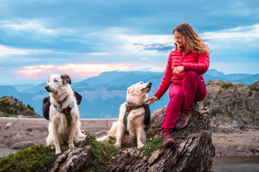 Randonner avec son chien : mes conseils, mon équipement coup de cœur Decathlon Outdog et mes plus belles idées de randos autour de Grenoble pour vivre des aventures complices en montagne.