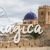 Visiter Elche en Espagne : la plus grande palmeraie d'Europe, la gastronomie du sud de l'Espagne, le mystère d'Elche, les plages d'Elche...