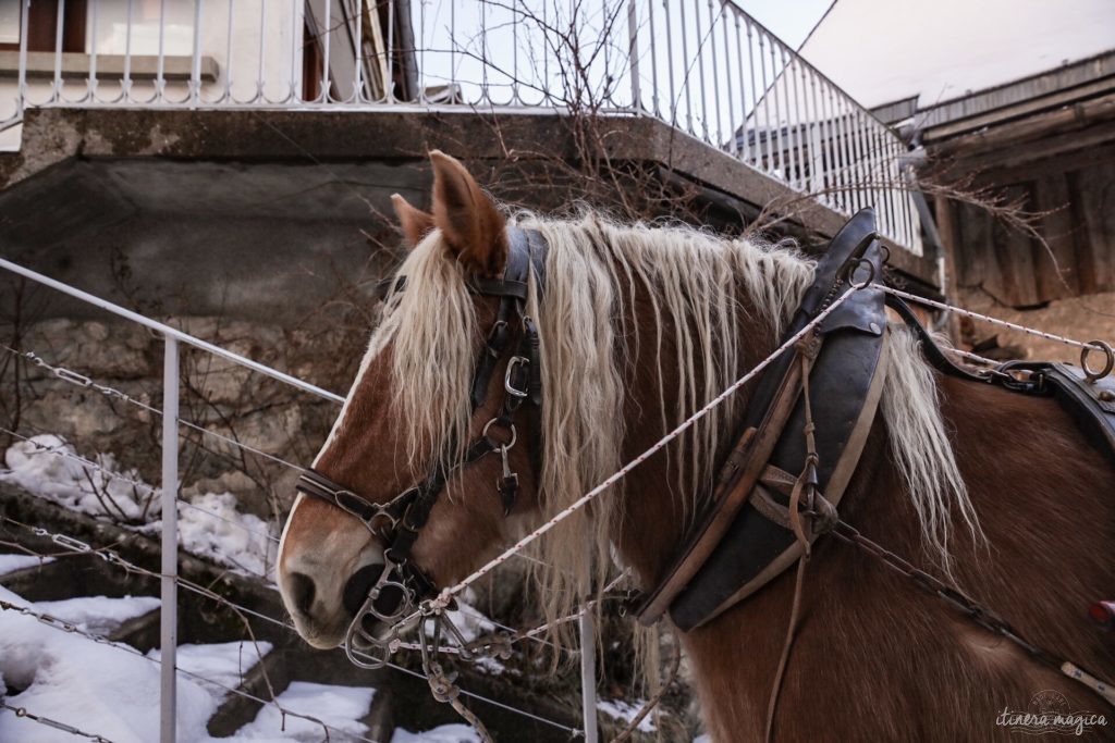 L'hiver dans le massif de la Chartreuse : où dormir ? que faire ? que voir ? Idées d'activités en hiver en Chartreuse, à côté de Grenoble