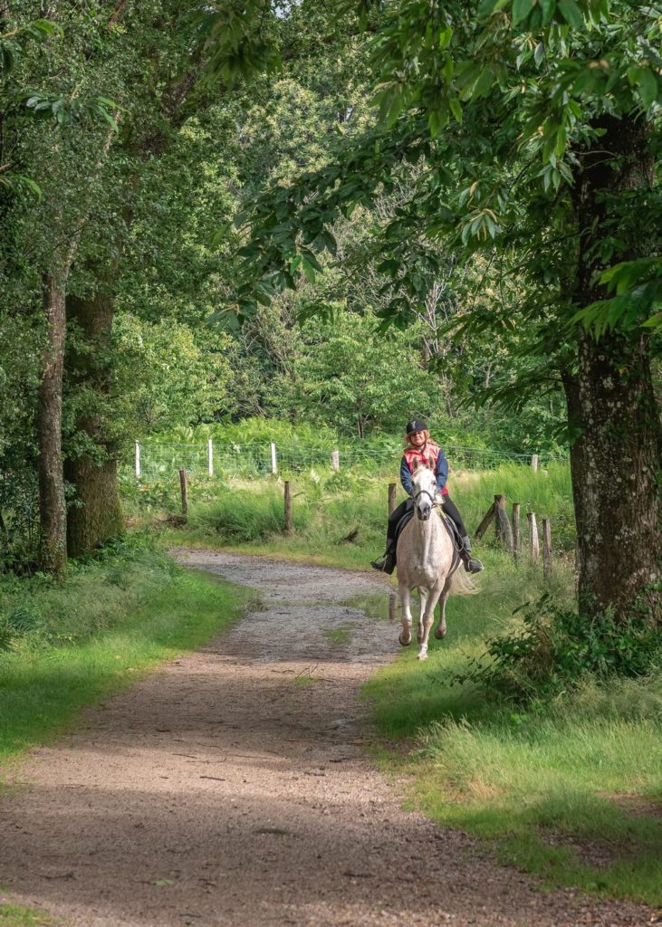 Blog sur un séjour en Mayenne, entre Sainte Suzanne, Château Gontier, tourisme équestre, cabanes et bonnes adresses. Que faire et que voir en Mayenne ?