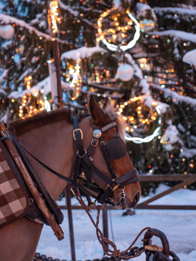 Que voir à Megève ? Blog sur un séjour d'hiver à Megève, avec bonnes adresses, ski de rando, survol du Mont Blanc, calèches, igloo...