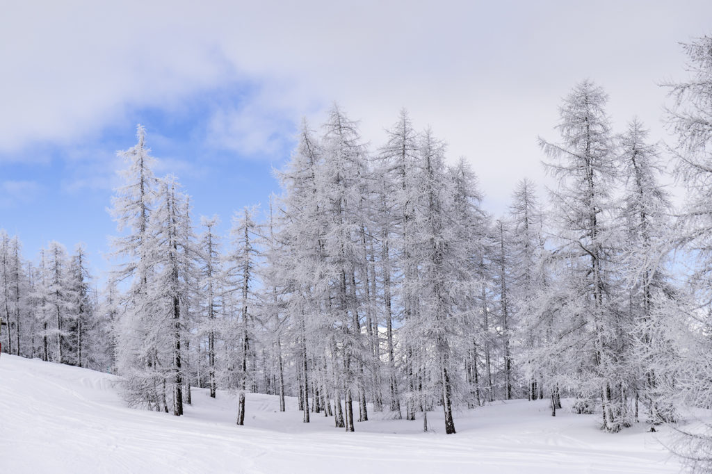 Skier à Montgenèvre dans les Alpes du Sud : astuces et bonnes adresses entre France et Italie.