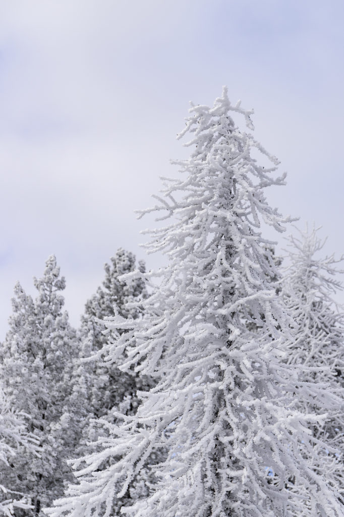 Skier à Montgenèvre dans les Alpes du Sud : astuces et bonnes adresses entre France et Italie.