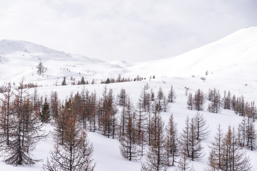 Skier à Montgenèvre dans les Alpes du Sud : astuces et bonnes adresses entre France et Italie.