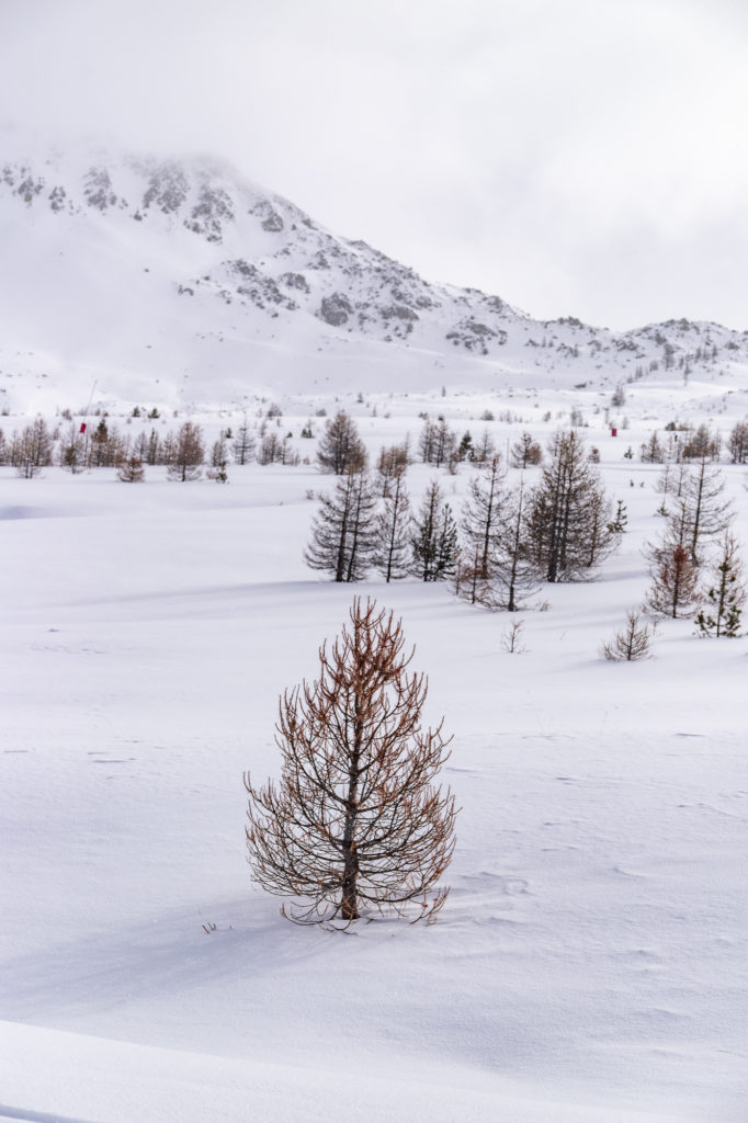 Skier à Montgenèvre dans les Alpes du Sud : astuces et bonnes adresses entre France et Italie.