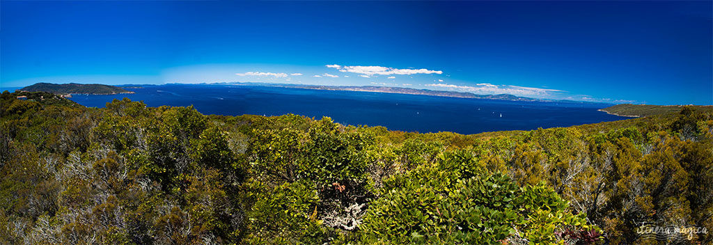 Découvrez l'ïle du Levant, un paradis méditerranéen préservé au large d'Hyères. Criques rocheuses à l'eau turquoise, village bohème d'artistes, végétation luxuriante, cette île naturiste est irrésistiblement exotique. Découvrez Le Levant sur le blog Itinera Magica !
