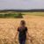 Découvrez la plaine de Versailles