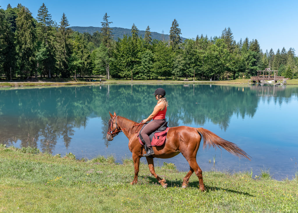 Rando équestre dans la vallée du Giffre en Haute Savoie