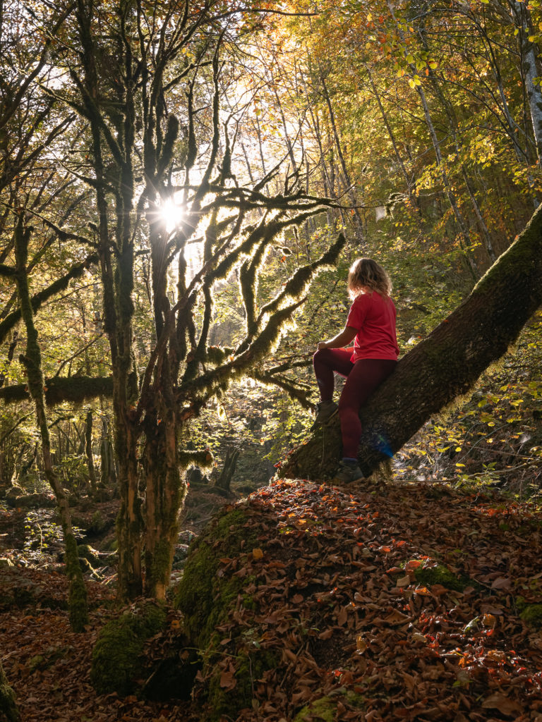 Que faire à Saint Marcellin Vercors Isère en automne ? Randonnée dans les gorges du Nan