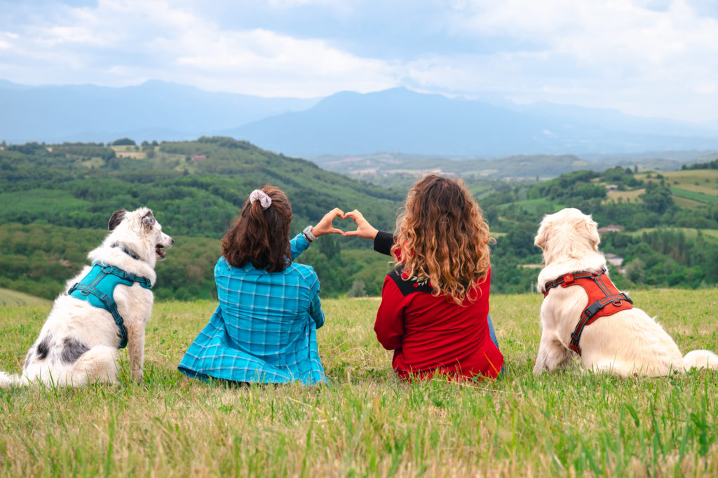 Randonner avec son chien : mes conseils, mon équipement coup de cœur Decathlon Outdog et mes plus belles idées de randos autour de Grenoble pour vivre des aventures complices en montagne.