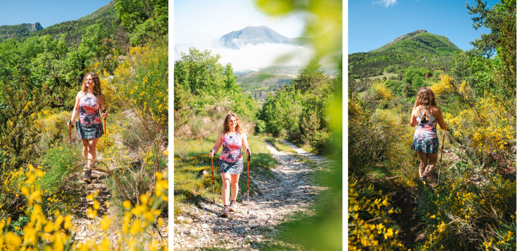 baronnies provençales