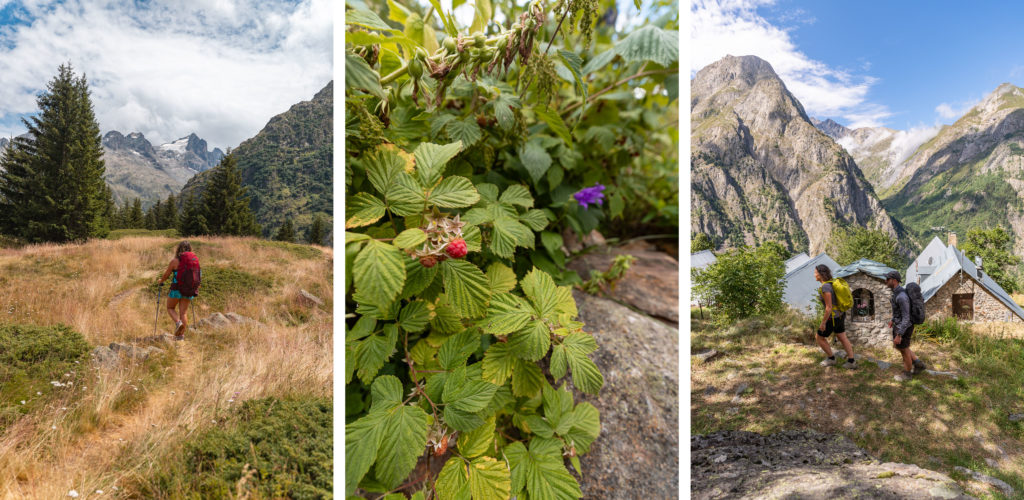 Envie d'un trek en itinérance dans le parc national des Ecrins ? Voici le tour gourmand en Oisans, merveilleuse rando sur 4 jours autour du Vénéon.