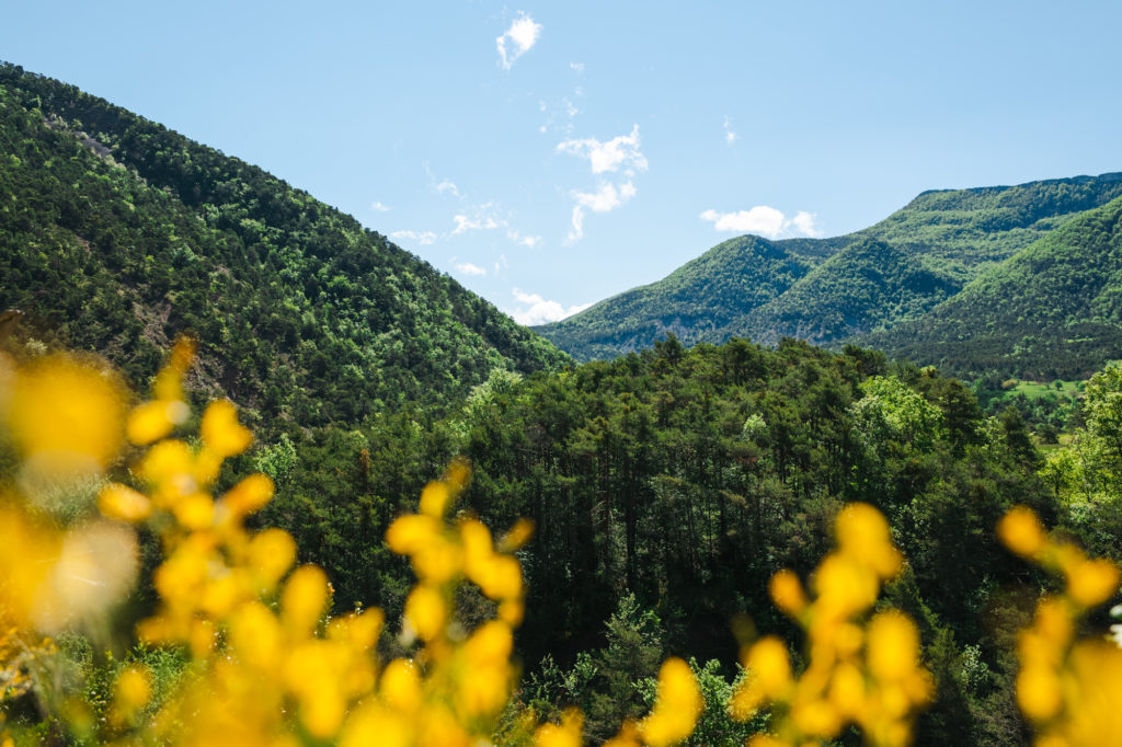 baronnies provençales