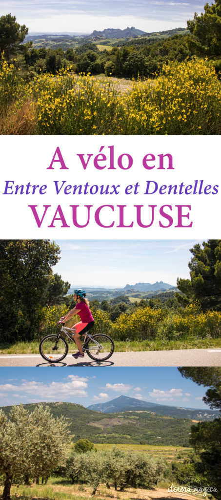 Découvrir le Vaucluse à vélo : au coeur de la Provence, entre Ventoux et Dentelles.